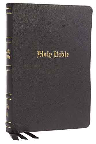 KJV Thinline Bible Red Letter [Large Print, Black]