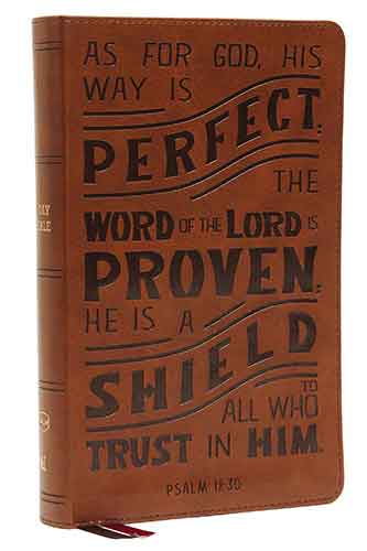 NKJV Personal Size Reference Bible, Verse Art Cover Collection, Red Letter, Comfort Print [Tan]