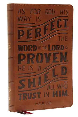 NKJV Personal Size Reference Bible, Verse Art Cover Collection, Red Letter, Thumb Indexed, Comfort Print [Tan]