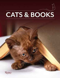 Cats & Books