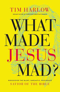 What Made Jesus Mad?: Rediscover The Blunt, Sarcastic, Passionate Savior Of The Bible