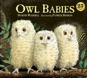 Owl Babies