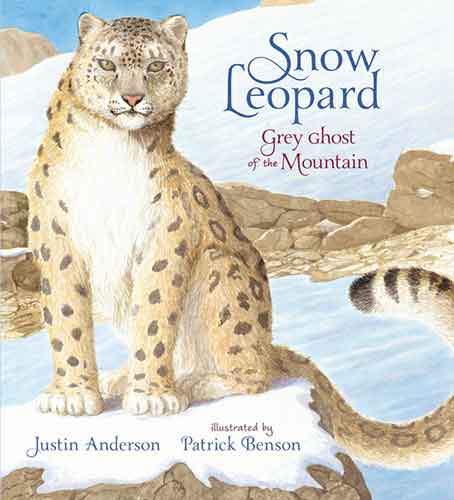 Snow Leopard: Grey Ghost of the Mountain