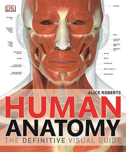 Human Anatomy