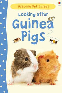 Looking After Guinea Pigs