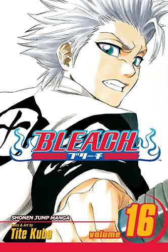 Bleach, Vol. 16