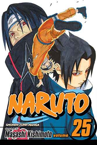 Naruto, Vol. 25