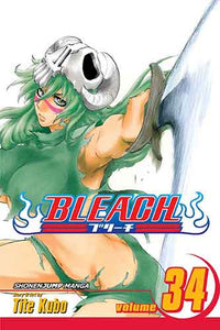 Bleach, Vol. 34