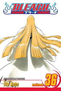 Bleach, Vol. 36