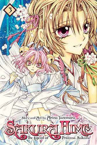 Sakura Hime: The Legend of Princess Sakura, Vol. 3