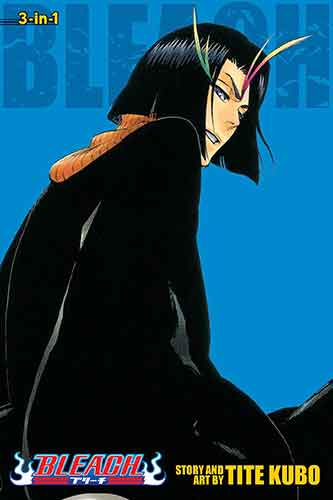 Bleach (3-in-1 Edition), Vol. 13