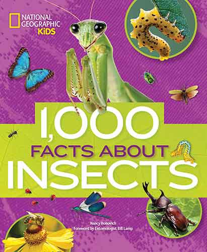 1,000 Facts About Insects