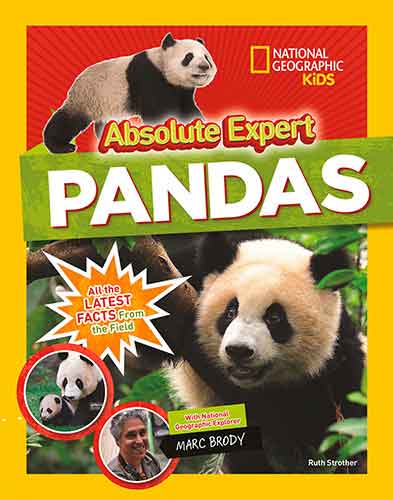 Absolute Expert - Pandas