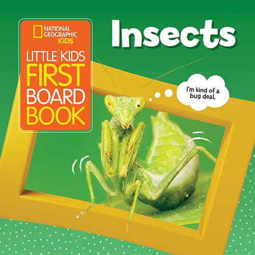 National Geographic Kids Little Kids First Board Book: Insects