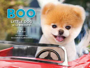 Boo: Little Dog in the Big City:  Little Dog in the Big City