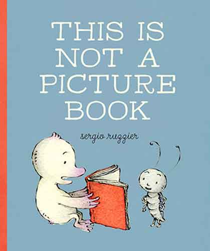 This Is Not a Picture Book!