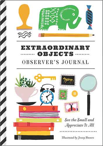 Extraordinary Objects Observer's Journal: See the Small and Appreciate It All