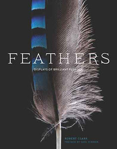 Feathers