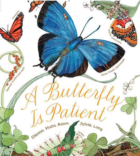 A A Butterfly Is Patient