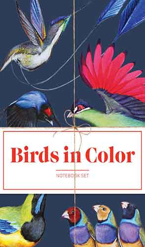 Birds in Color Notebook Collection