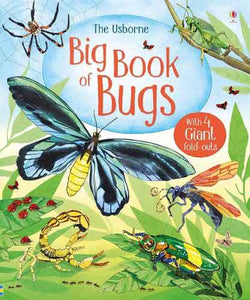 Big Book of Big Bugs