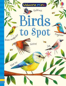Mini Books Birds to Spot