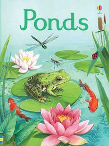 Beginners Ponds