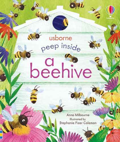 Peep Inside a Beehive