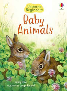 Beginners Baby Animals