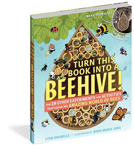 Turn This Book Into a Beehive!