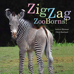 ZigZag ZooBorns!: Zoo Baby Colors and Patterns