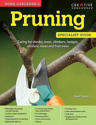 Home Gardeners Pruning