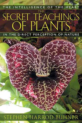 Secret Teachings of Plants: The Intelligence of the Heart in the Direct Perception of Nature