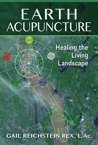 Earth Acupuncture