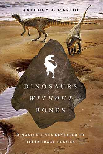 Dinosaurs Without Bones