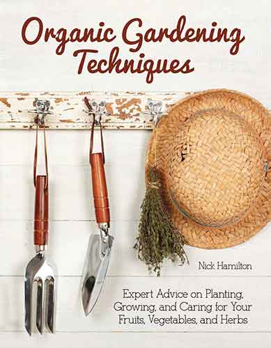 Organic Gardening Techniques