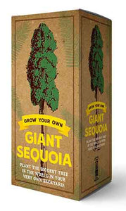 Grow Your Own Giant Sequoia Kit: Plant the Biggest Tree in the World in Your Very Own Backyard!