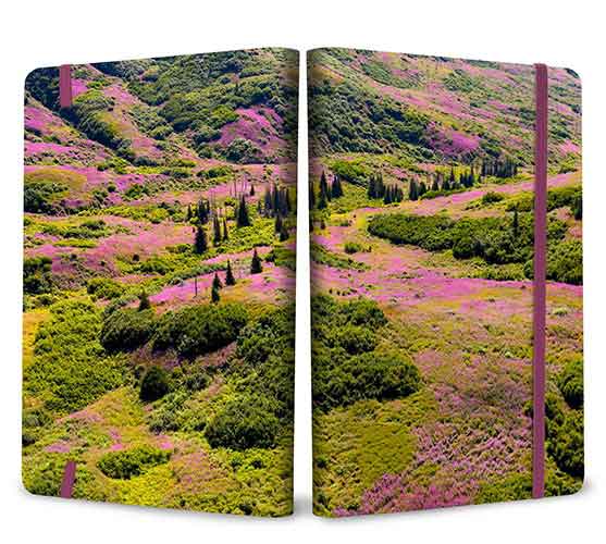 Refuge: Purple Fireweed Softcover Notebook: Kenai National Wildlife Refuge (Gifts for Outdoor Enthusiasts and Nature Lovers, Journals for Hi