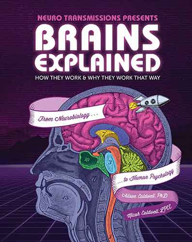 Brains Explained: How They Work & Why They Work That Way | STEM Learningabout the Human Brain | Fun and Educational Facts about Human Body