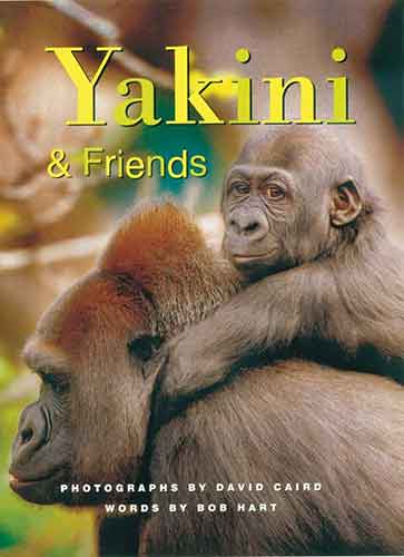Yakini and Friends