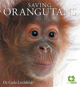 Saving Orangutans