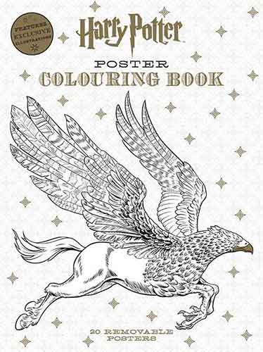 Harry Potter: Poster Colouring Book