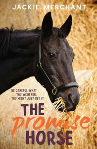 The Promise Horse