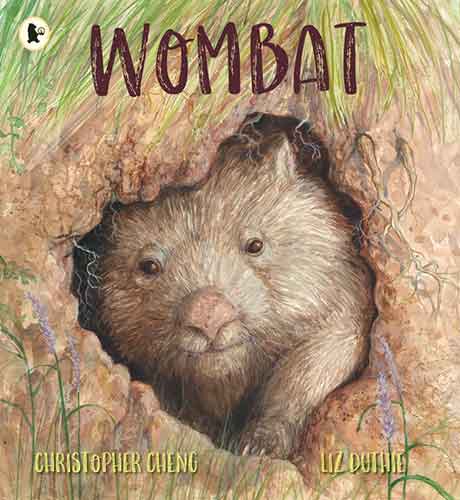 Wombat