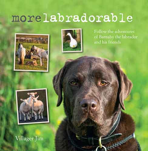 Morelabradorable: Follow the Adventures of Barnaby the Labrador and His Friends