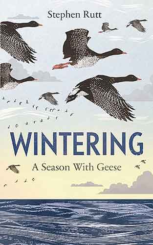 Wintering: A Season of Geese