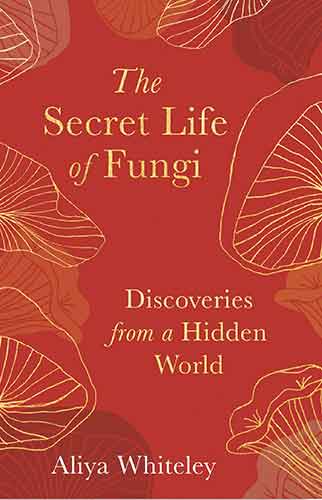 Secret Life of Fungi: Discoveries from a Hidden World