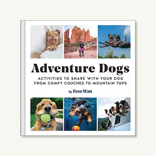 Adventure Dogs: Activities to Share with Your Dog—from Comfy Couches to Mountain Tops