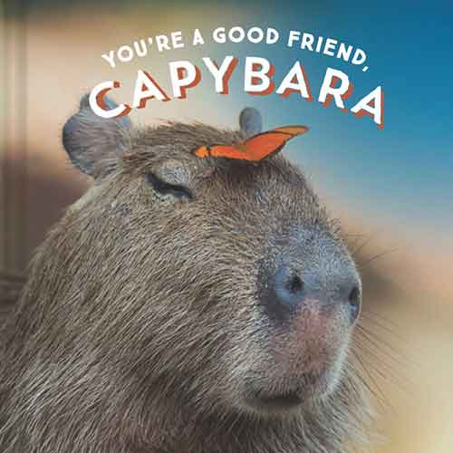 You're a Good Friend, Capybara