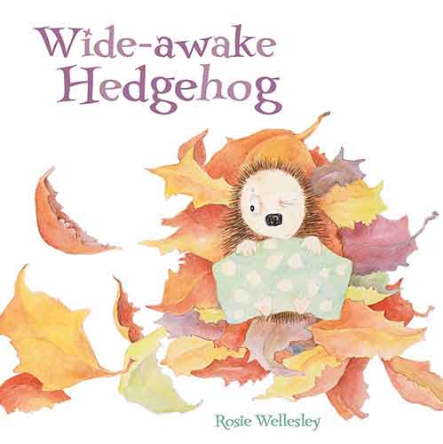 The Wide Awake Hedgehog